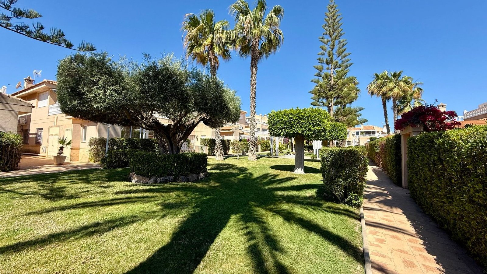 Sale - Apartment - Orihuela Costa - Playa Flamenca