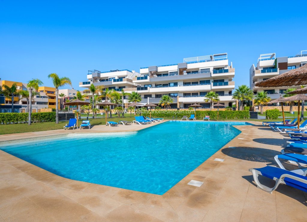 Sale - Apartment - Orihuela Costa - Playa Flamenca