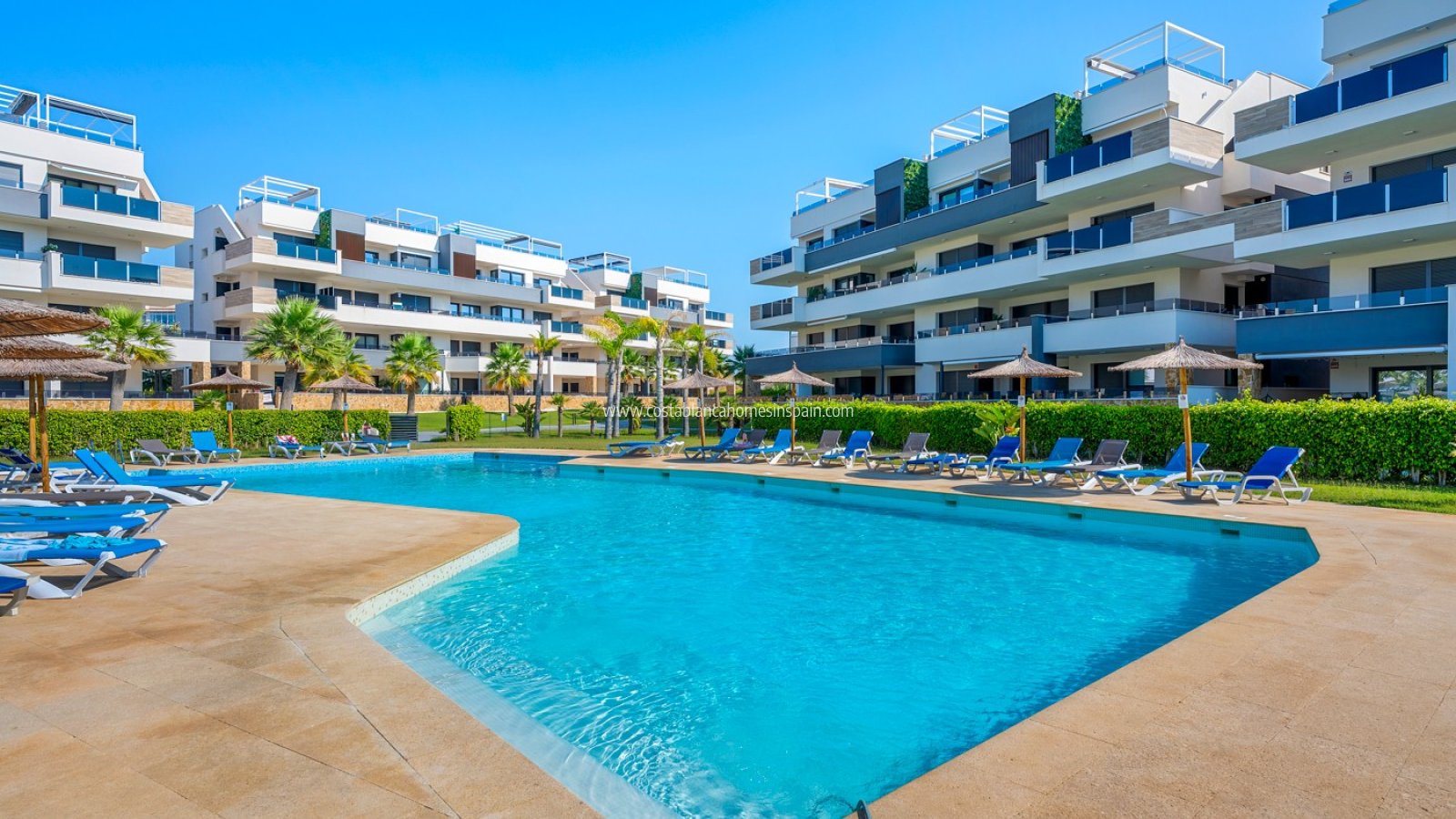 Sale - Apartment - Orihuela Costa - Playa Flamenca