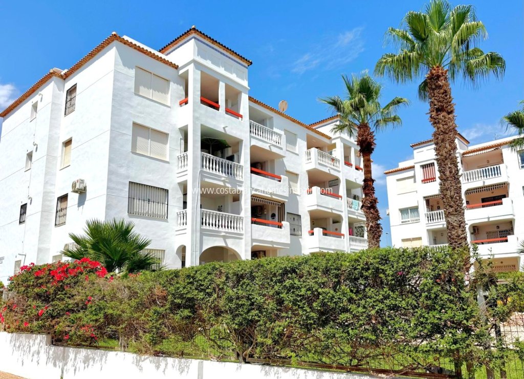 Sale - Apartment - Orihuela Costa - Villamartin