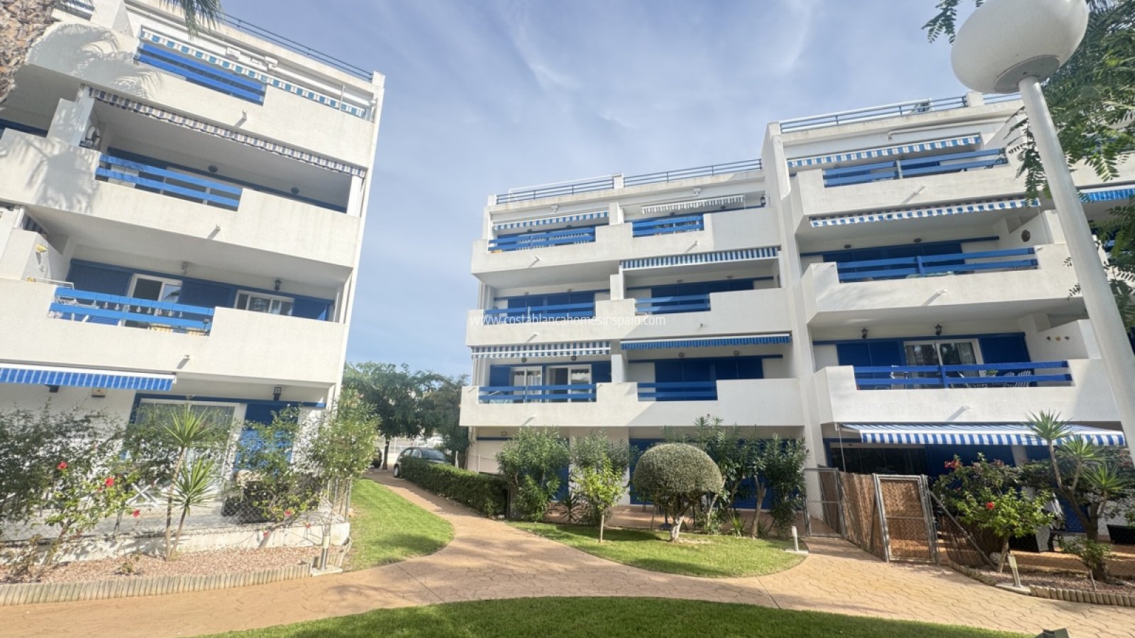 Sale - Apartment - Playa Flamenca - Orihuela Costa