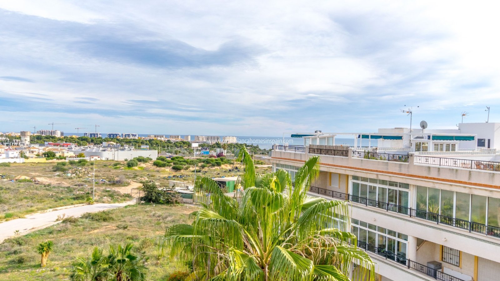 Sale - Apartment - Playa Flamenca - Orihuela Costa