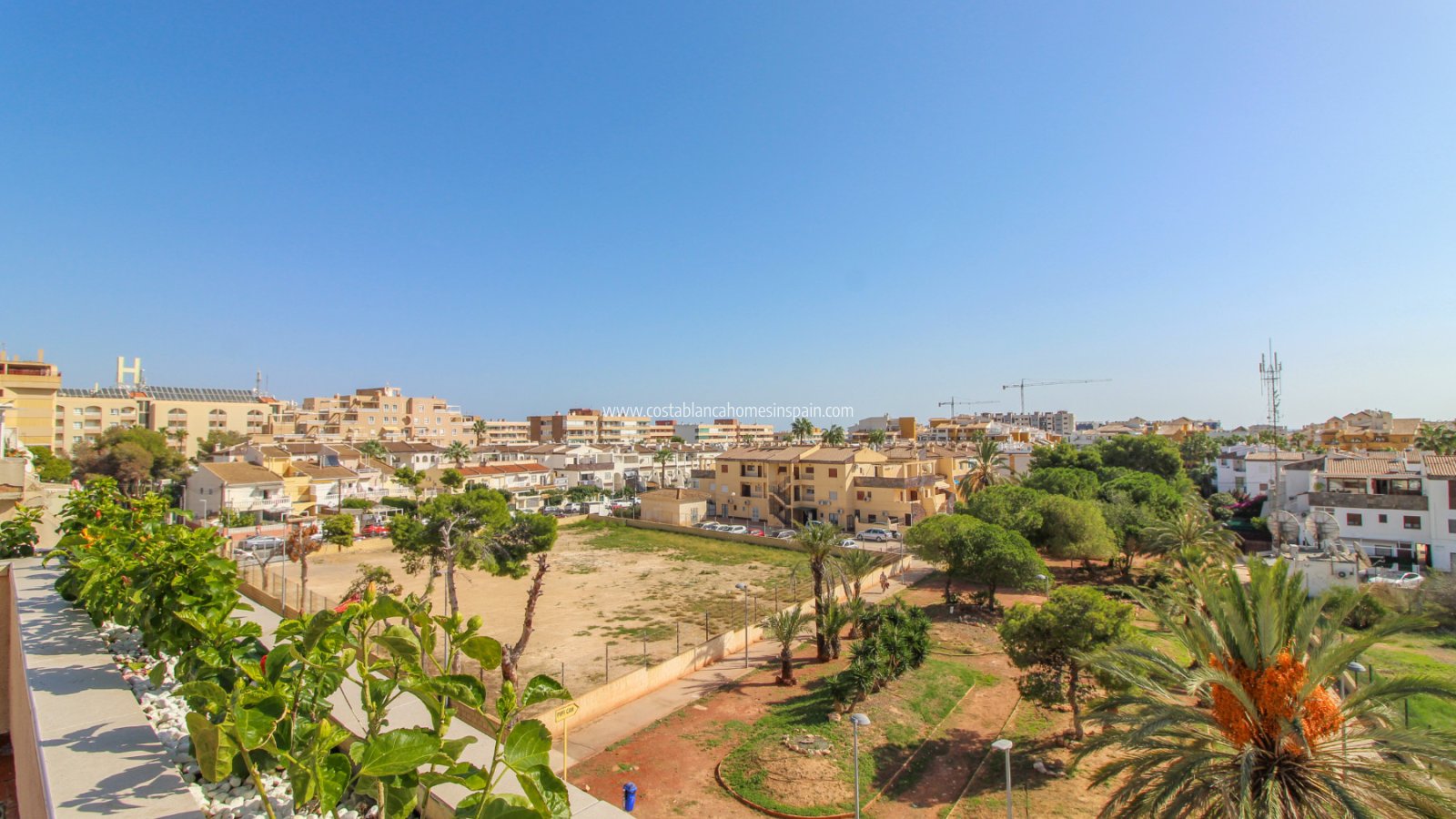 Sale - Apartment - Punta Prima - Beachside