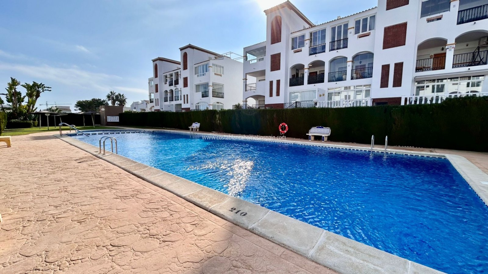Sale - Apartment - Punta Prima