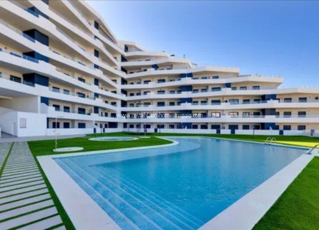 Sale - Apartment - San Miguel de Salinas - Costa Blanca