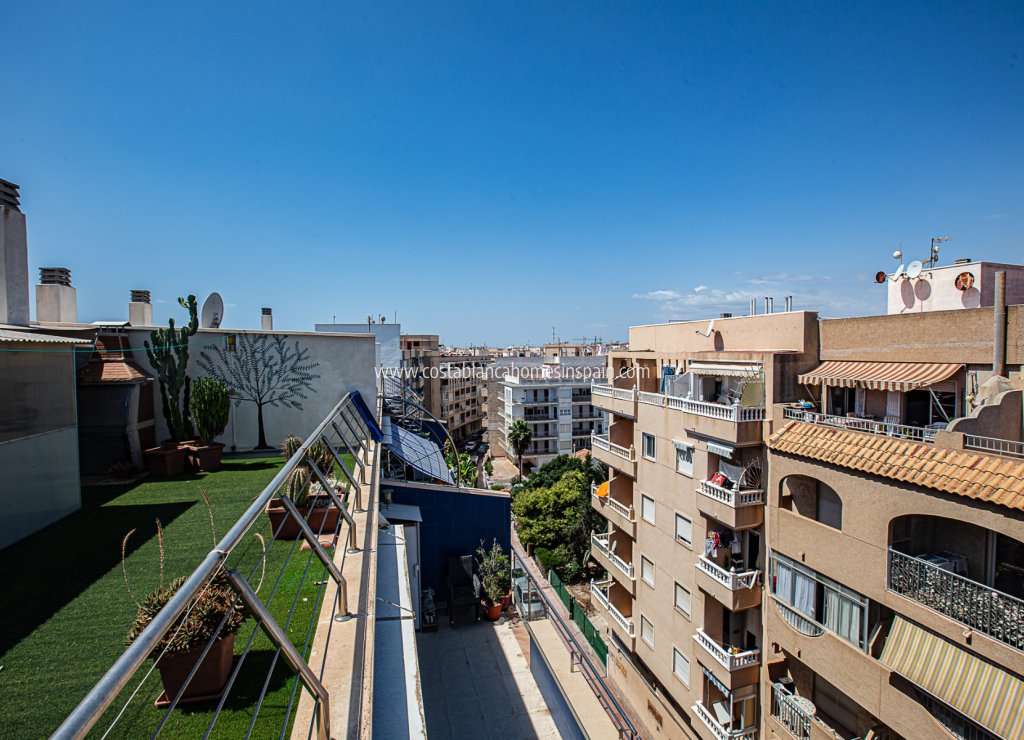 Sale - Apartment - Torrevieja - Beach
