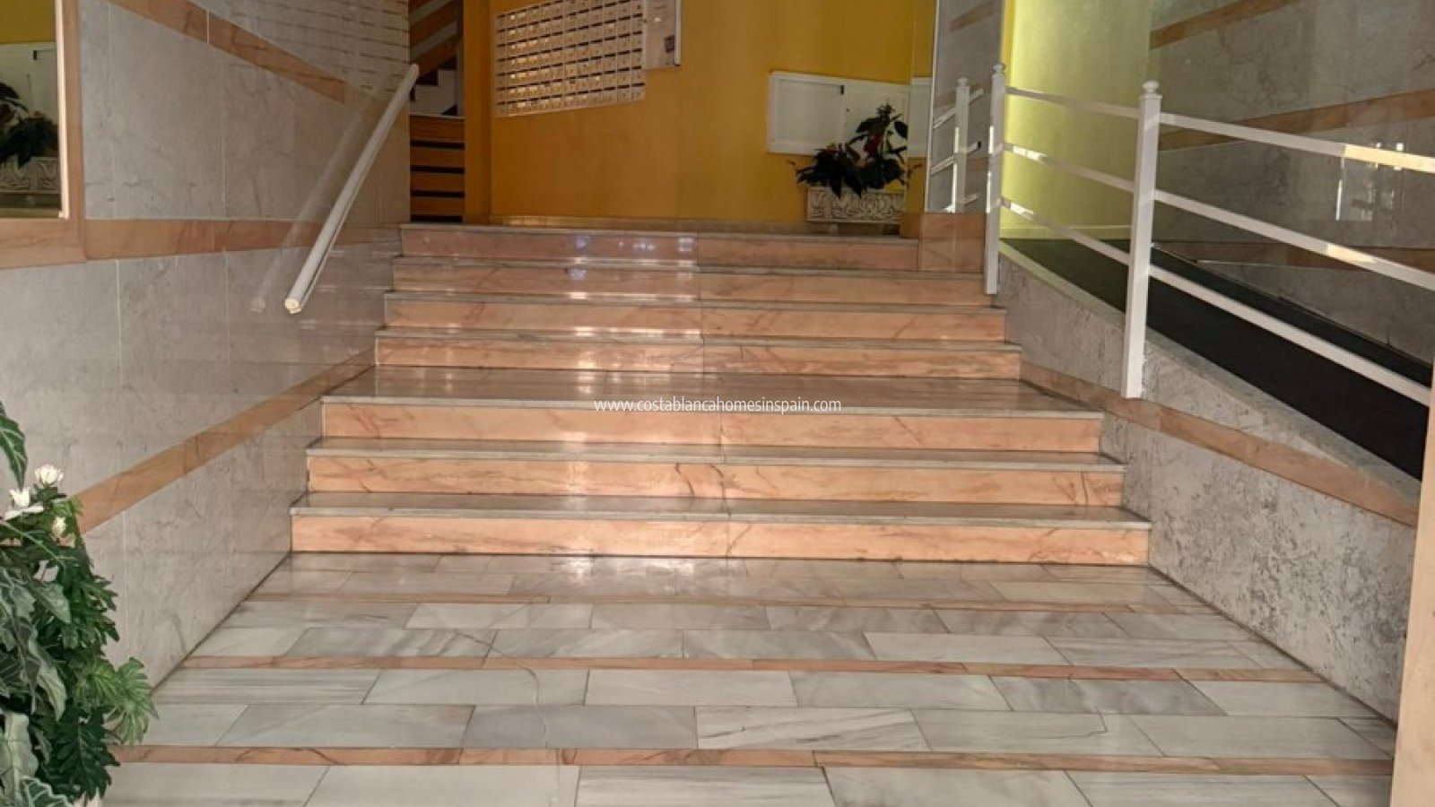 Sale - Apartment - Torrevieja - Playa de los Locos