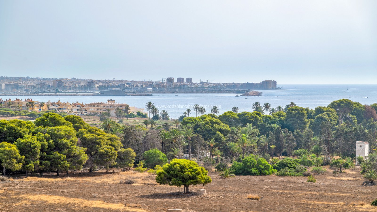 Sale - Apartment - Torrevieja - Punta Prima