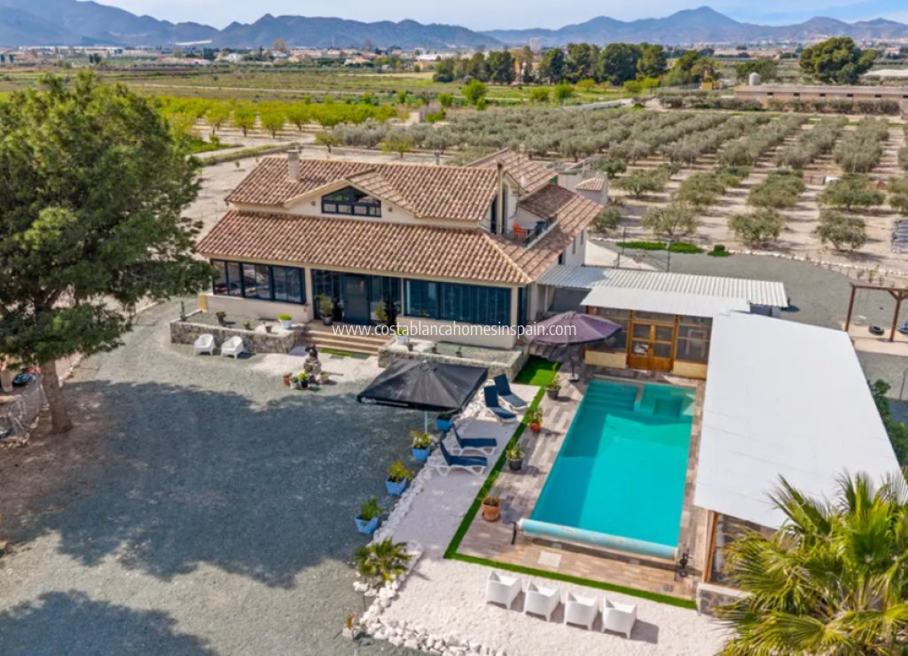 Sale - Detached Villa - Puerto Lumbreras - Esparragal de Puerto Lumbreras