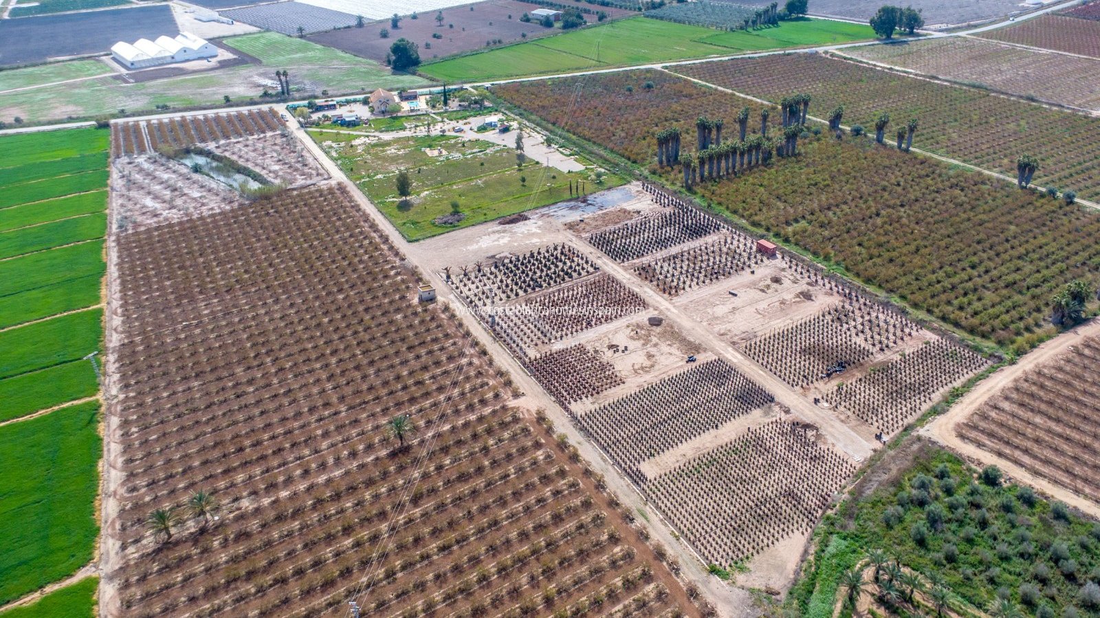 Sale - Finca - Albatera