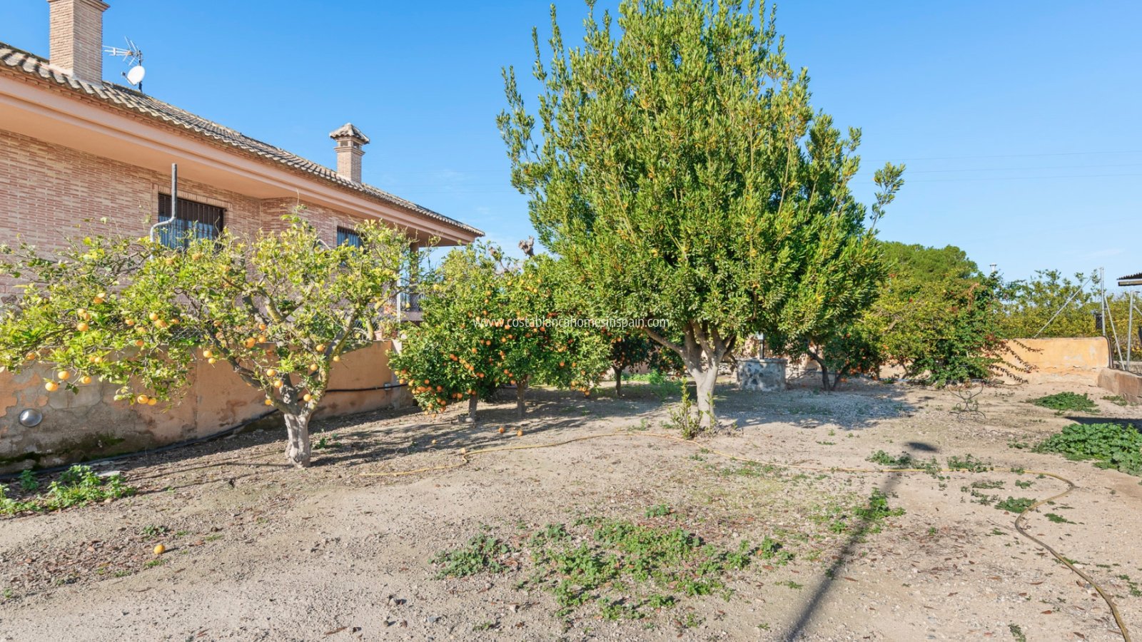 Sale - Finca - Beniel - Carretera de Beniel