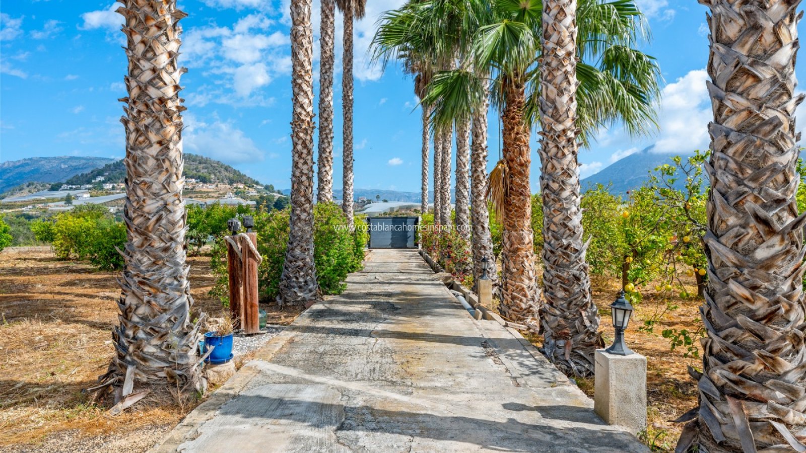 Sale - Finca - La Nucia - La nucia