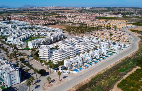 Townhouse - Új építésű - Guardamar del Segura - Guardamar del Segura