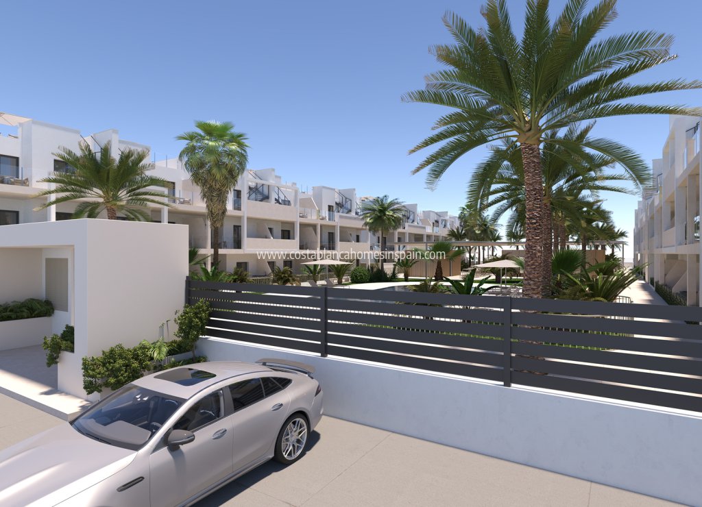 Új építésű - Apartment - San Cayetano - 