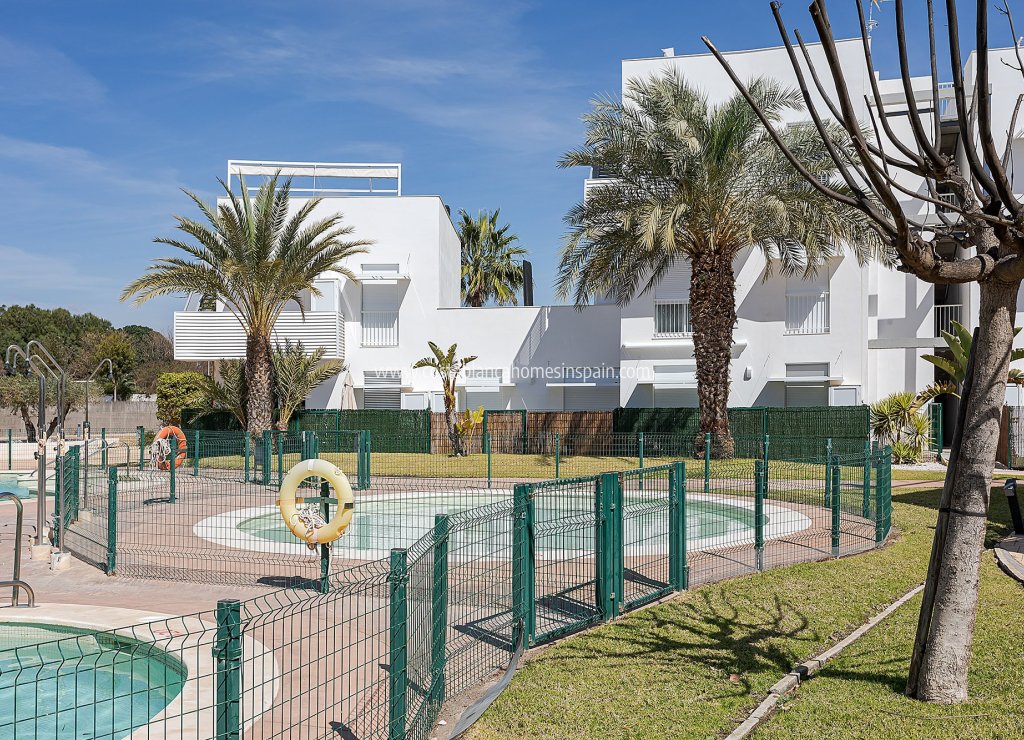 Új építésű - Apartment - Vera