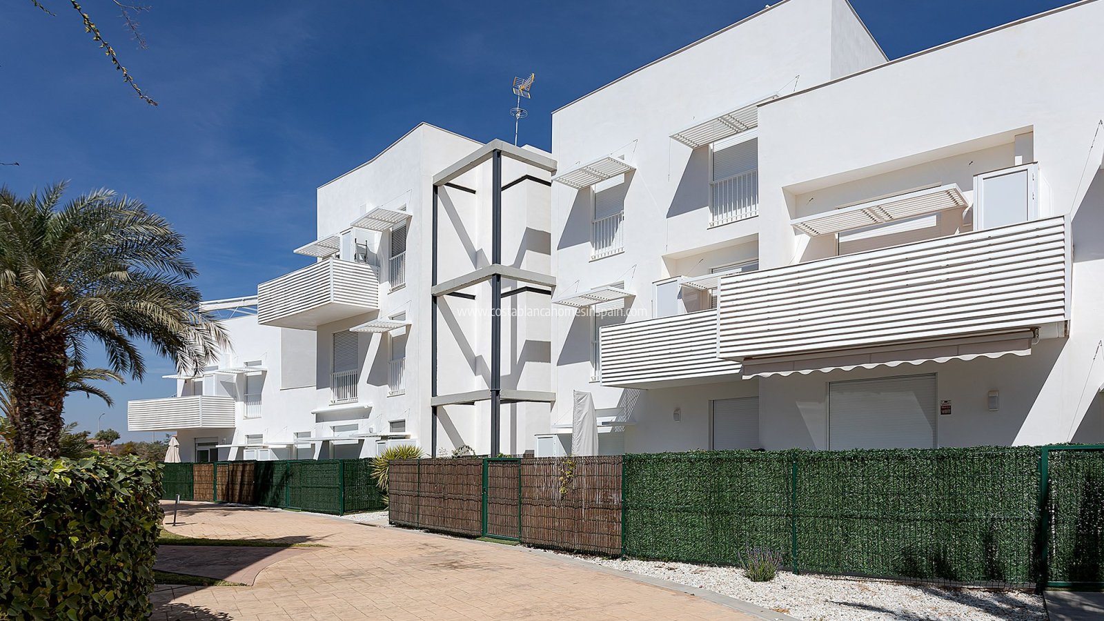 Új építésű - Apartment - Vera