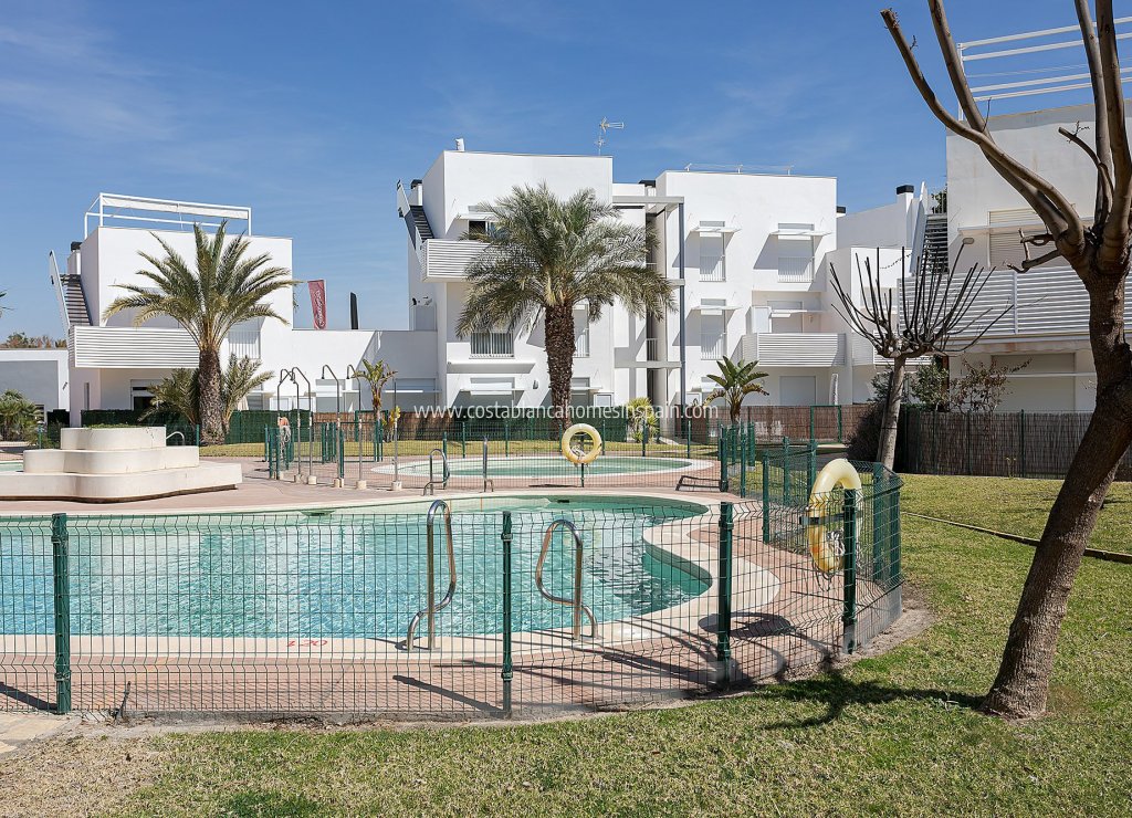 Új építésű - Apartment - Vera