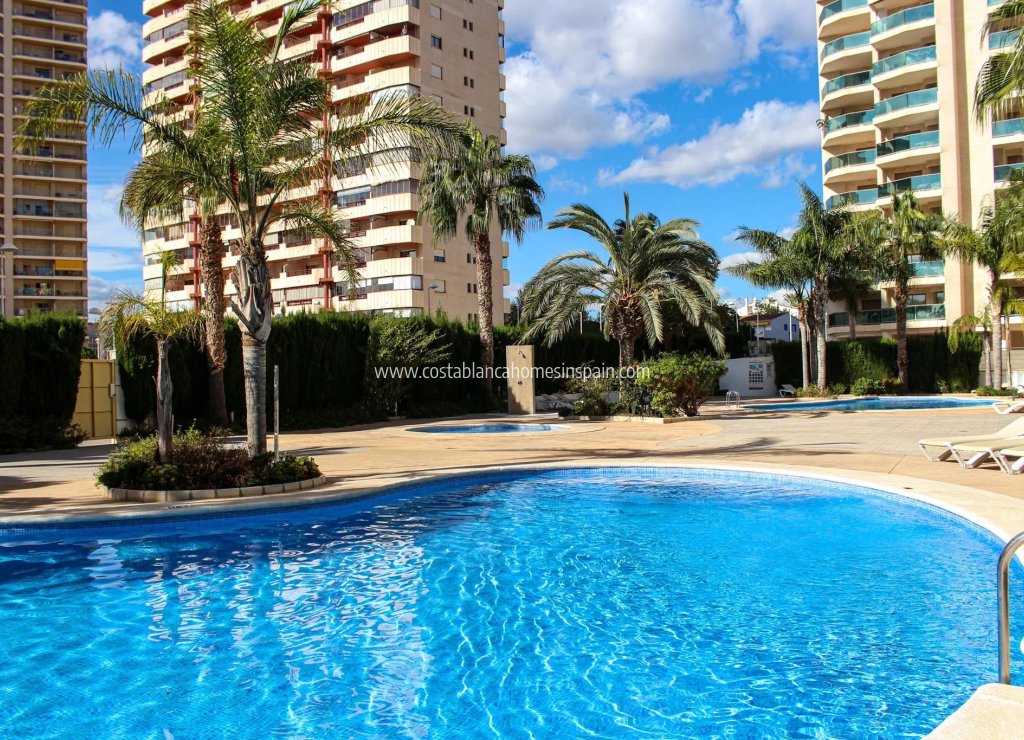 Új építésű - Apartment - 