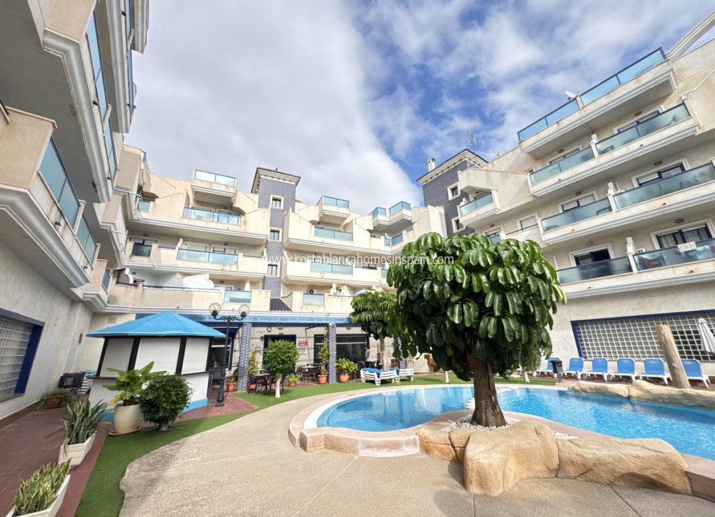 Venta - Apartment - Cabo Roig