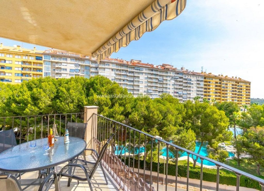 Venta - Apartment - Campoamor