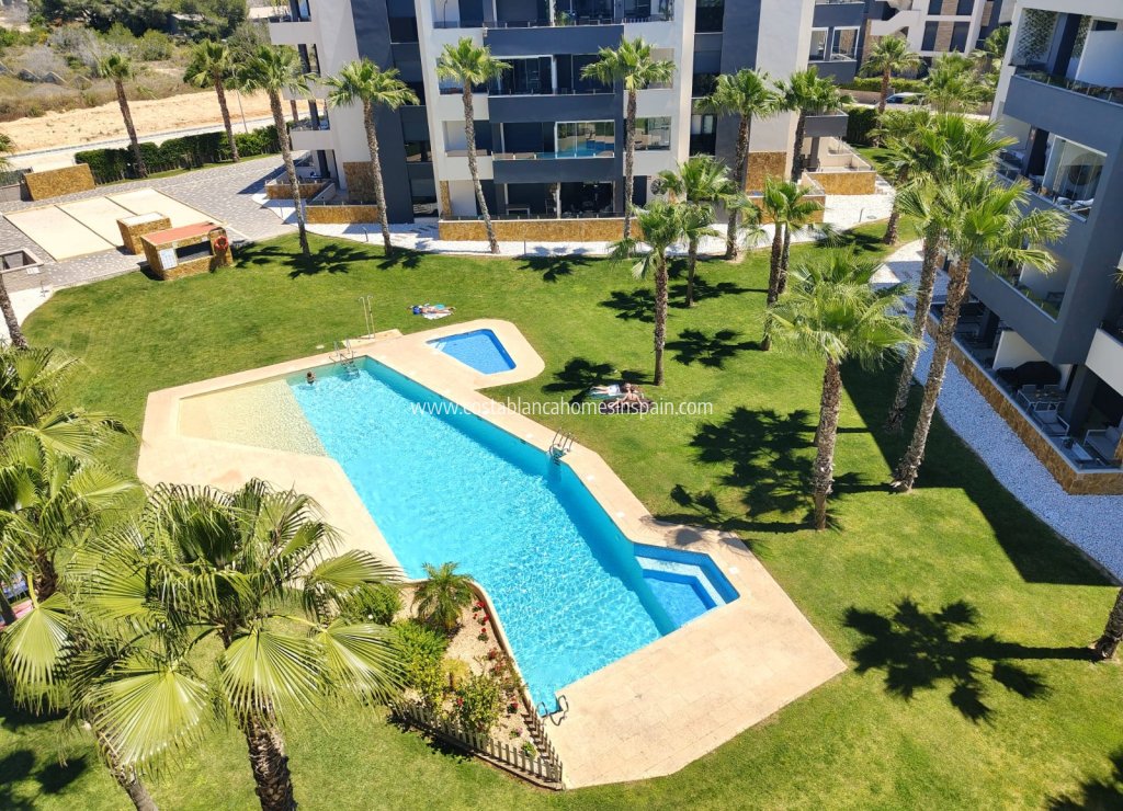 Venta - Apartment - Los Altos - Torrevieja