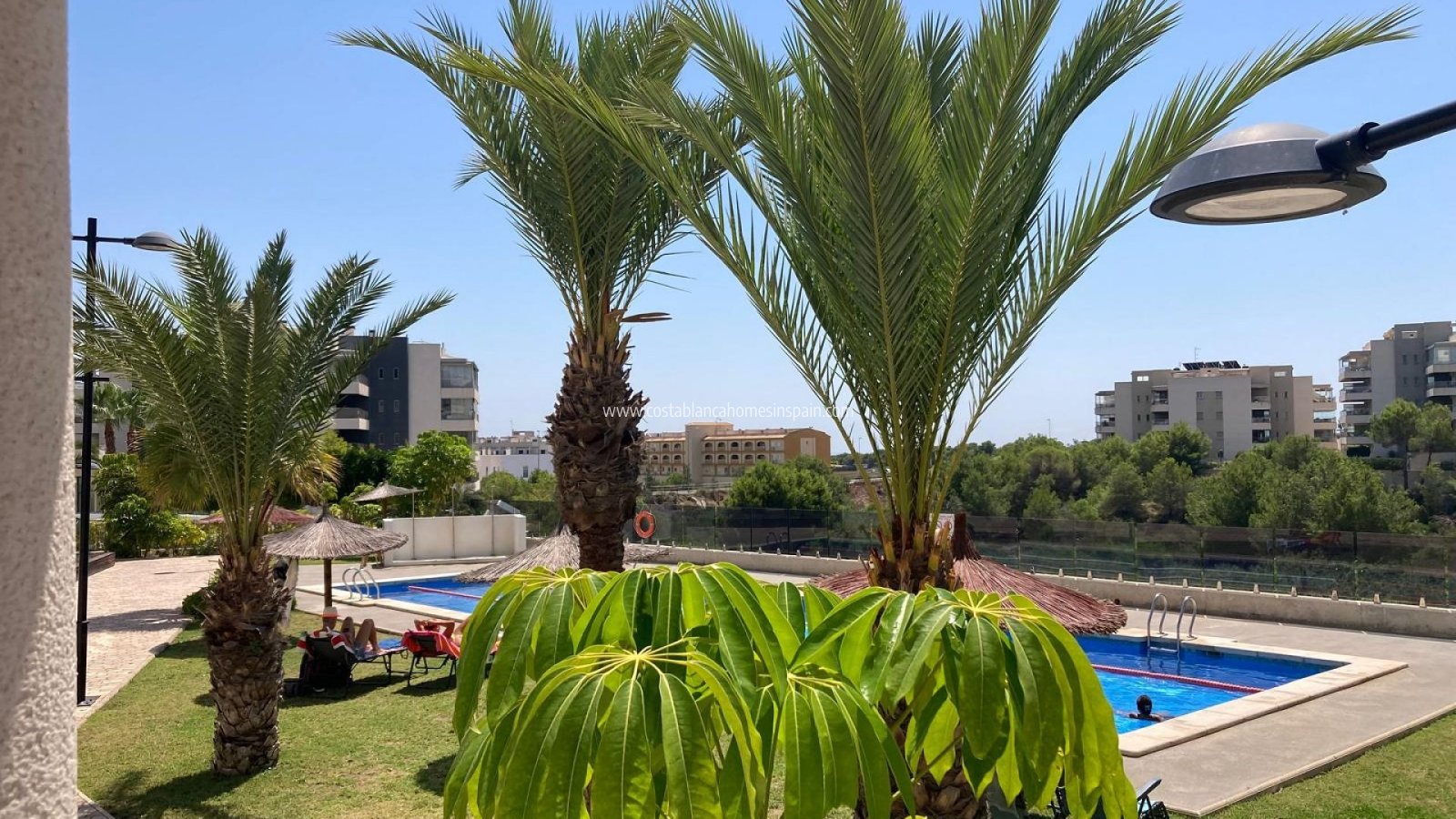 Venta - Apartment - Los Dolses - LOS DOLSES