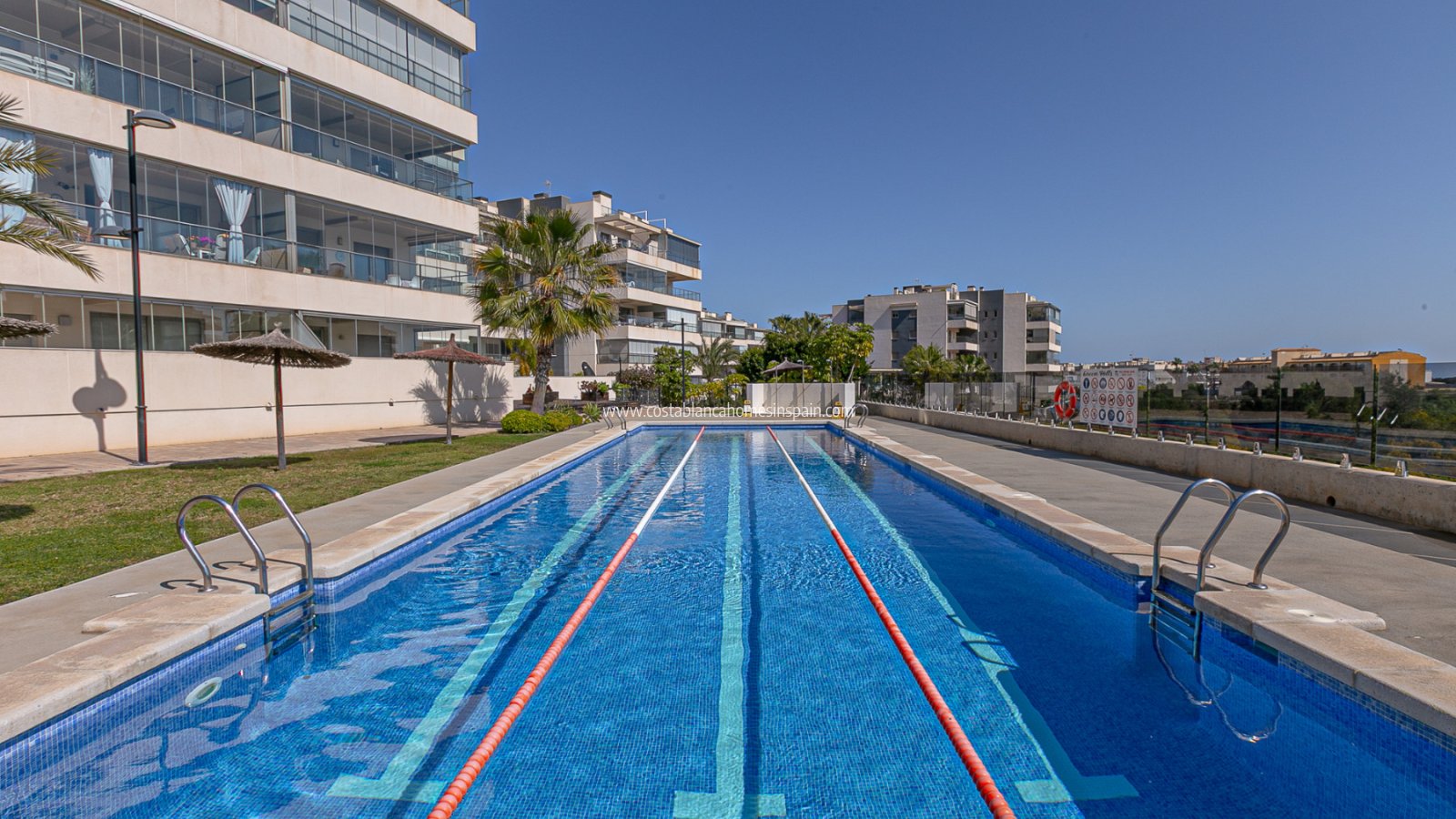 Venta - Apartment - Los Dolses - Pimienta