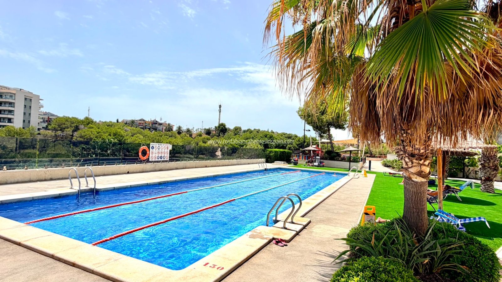 Venta - Apartment - Orihuela Costa - La Zenia