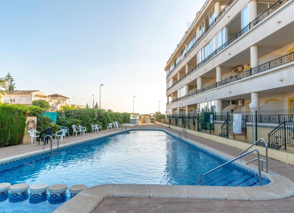 Venta - Apartment - Orihuela Costa - Playa Flamenca