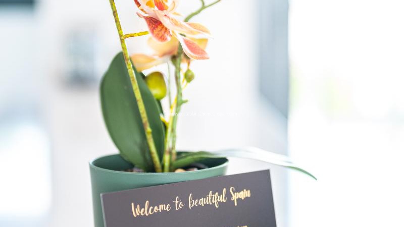 Venta - Apartment - Pilar de La Horadada - Pilar de la Horadada