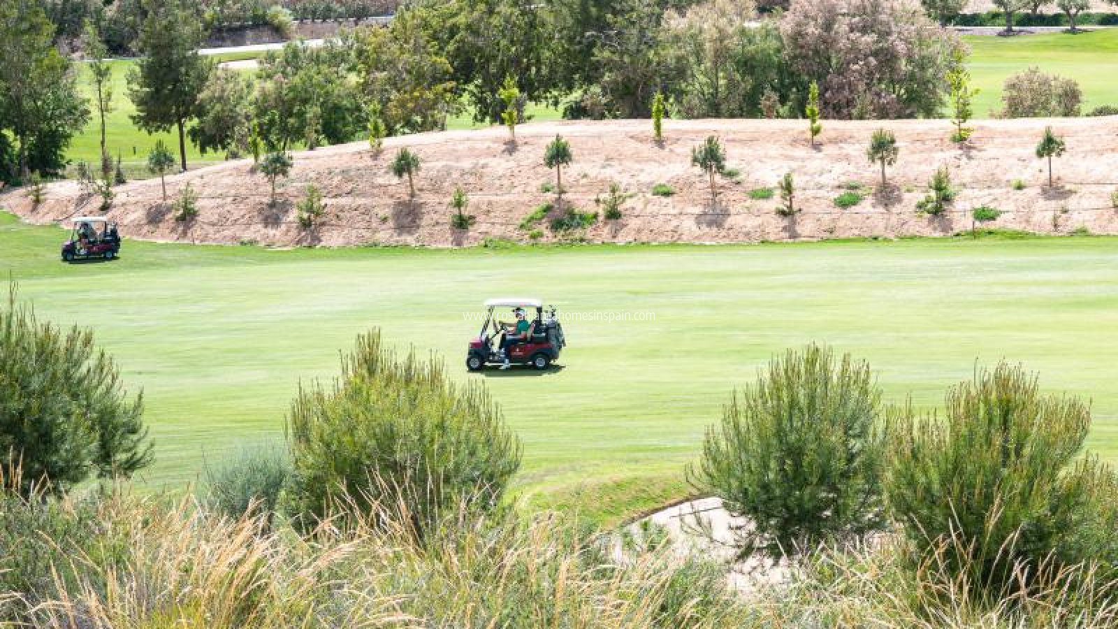 Venta - Apartment - Pilar de La Horadada - Pilar de la Horadada
