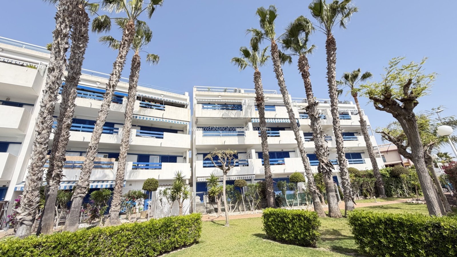 Venta - Apartment - Playa Flamenca - Orihuela Costa