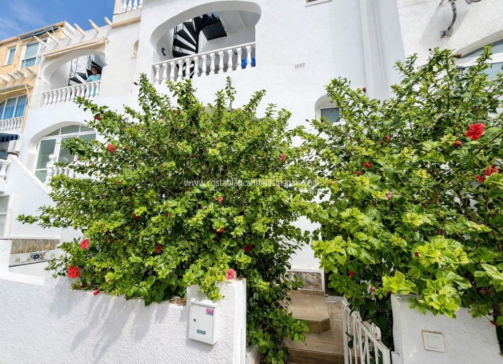 Venta - Apartment - San Miguel de Salinas - Las filipinas