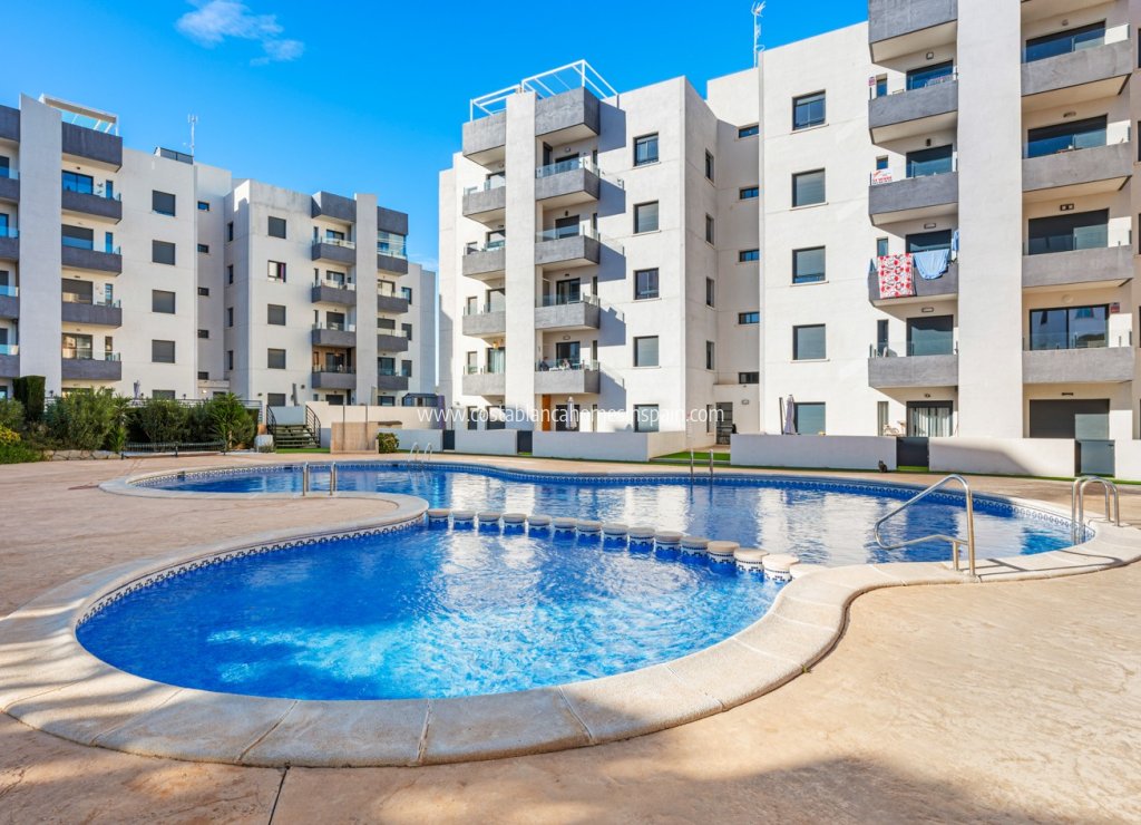 Venta - Apartment - San Miguel de Salinas - San Miguel