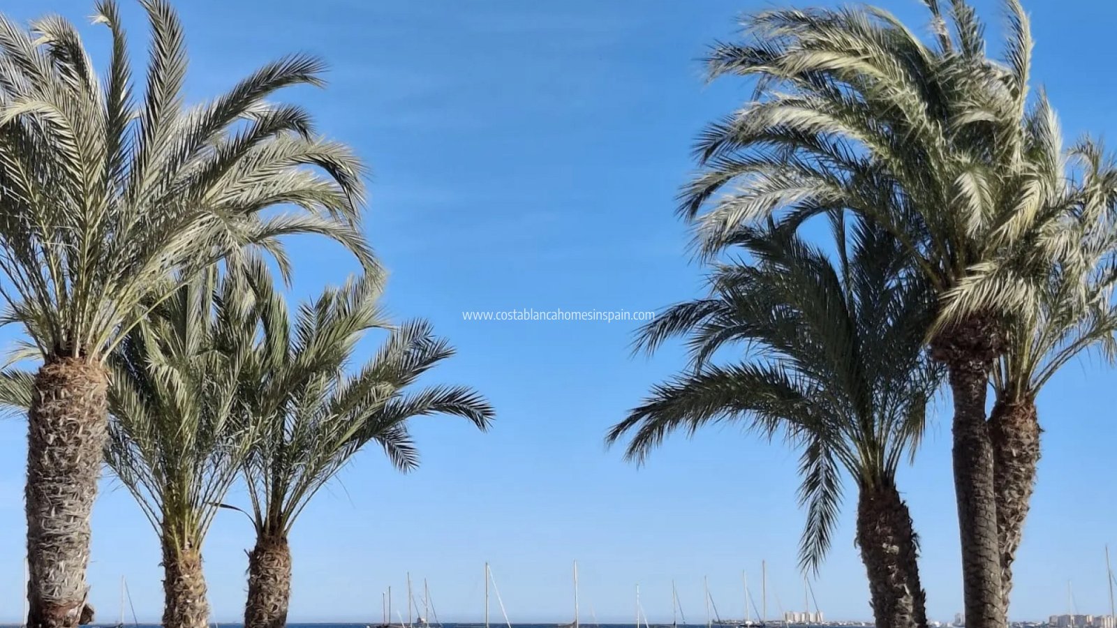 Venta - Apartment - Santiago de la Ribera - SANTIAGO DE LA RIBERA