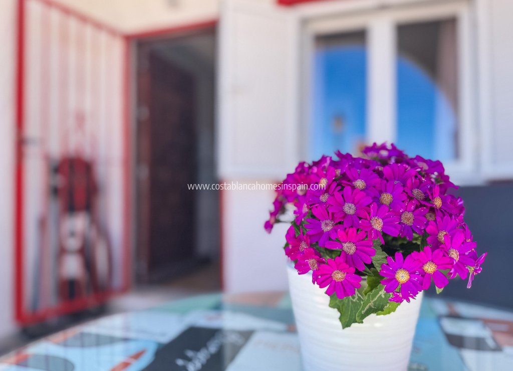 Venta - Apartment - Torrevieja - Cabo cervera
