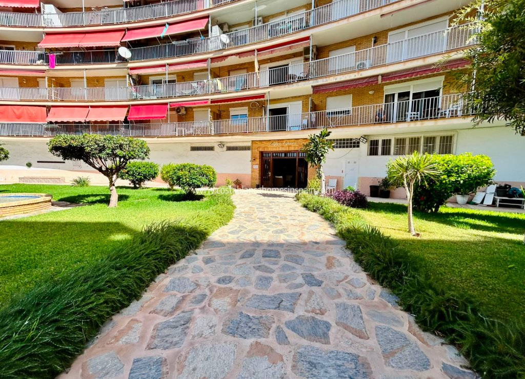 Venta - Apartment - Torrevieja - Playa de los Locos