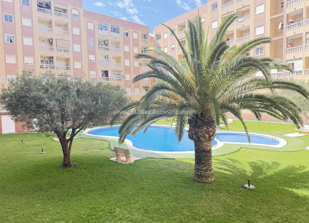 Venta - Apartment - Torrevieja