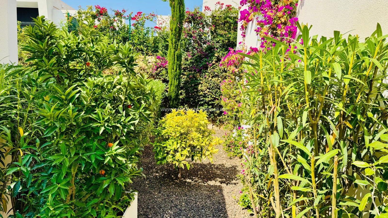 Venta - Detached Villa - Algorfa - La Finca Golf