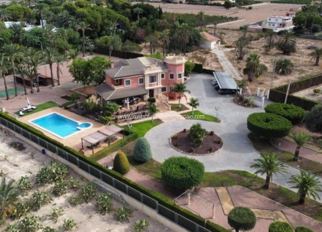 Venta - Detached Villa - Elche/Elx - Elche