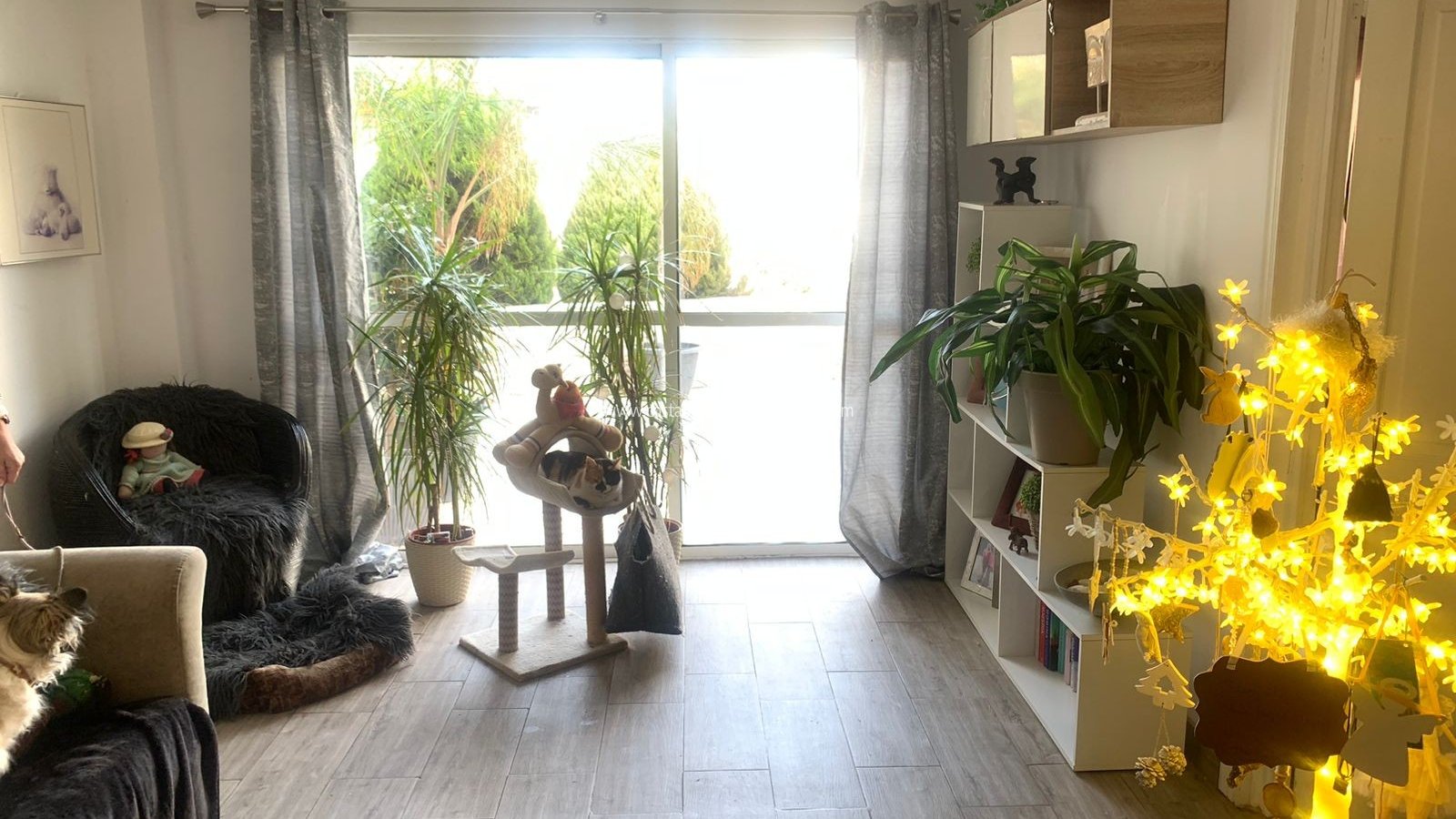 Venta - Detached Villa - La Zenia