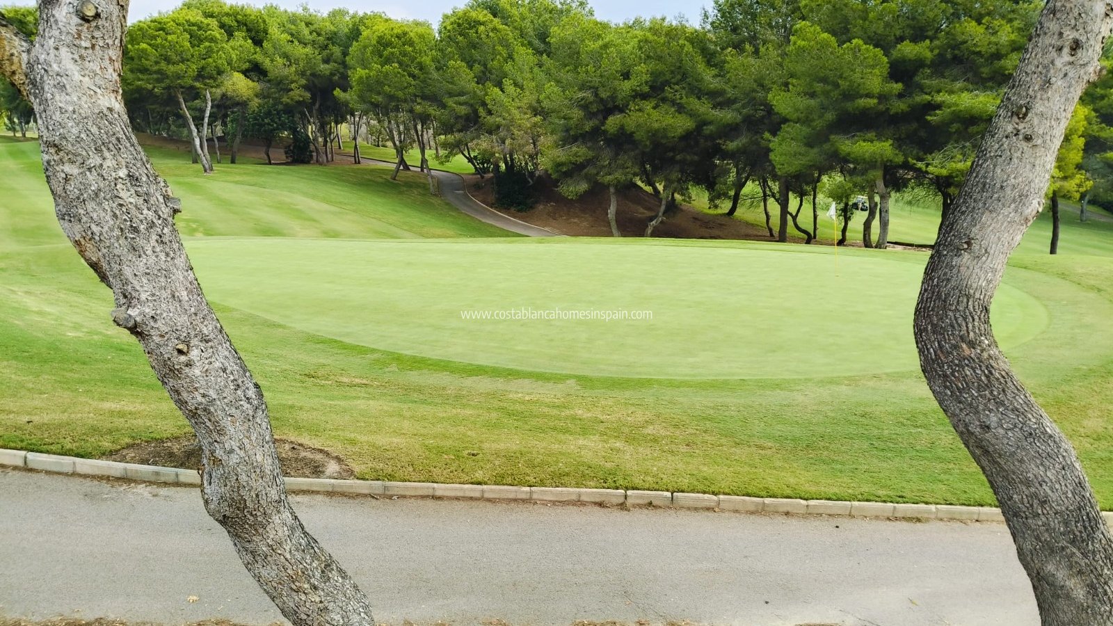 Venta - Detached Villa - Las Ramblas - Las Ramblas Golf