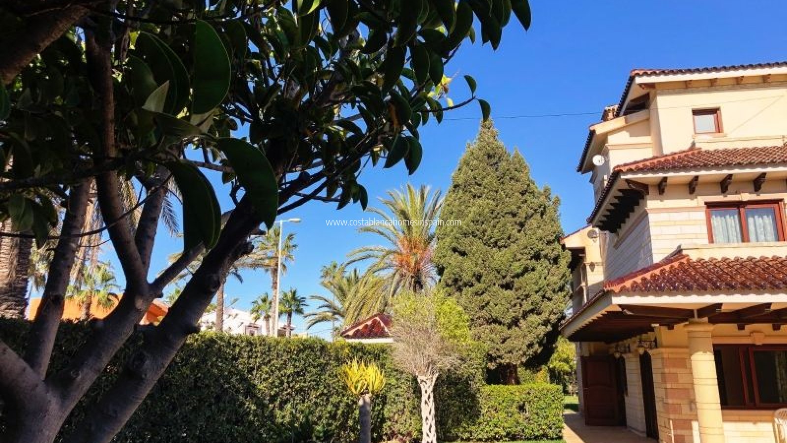 Venta - Detached Villa - Orihuela - Orihuela Costa