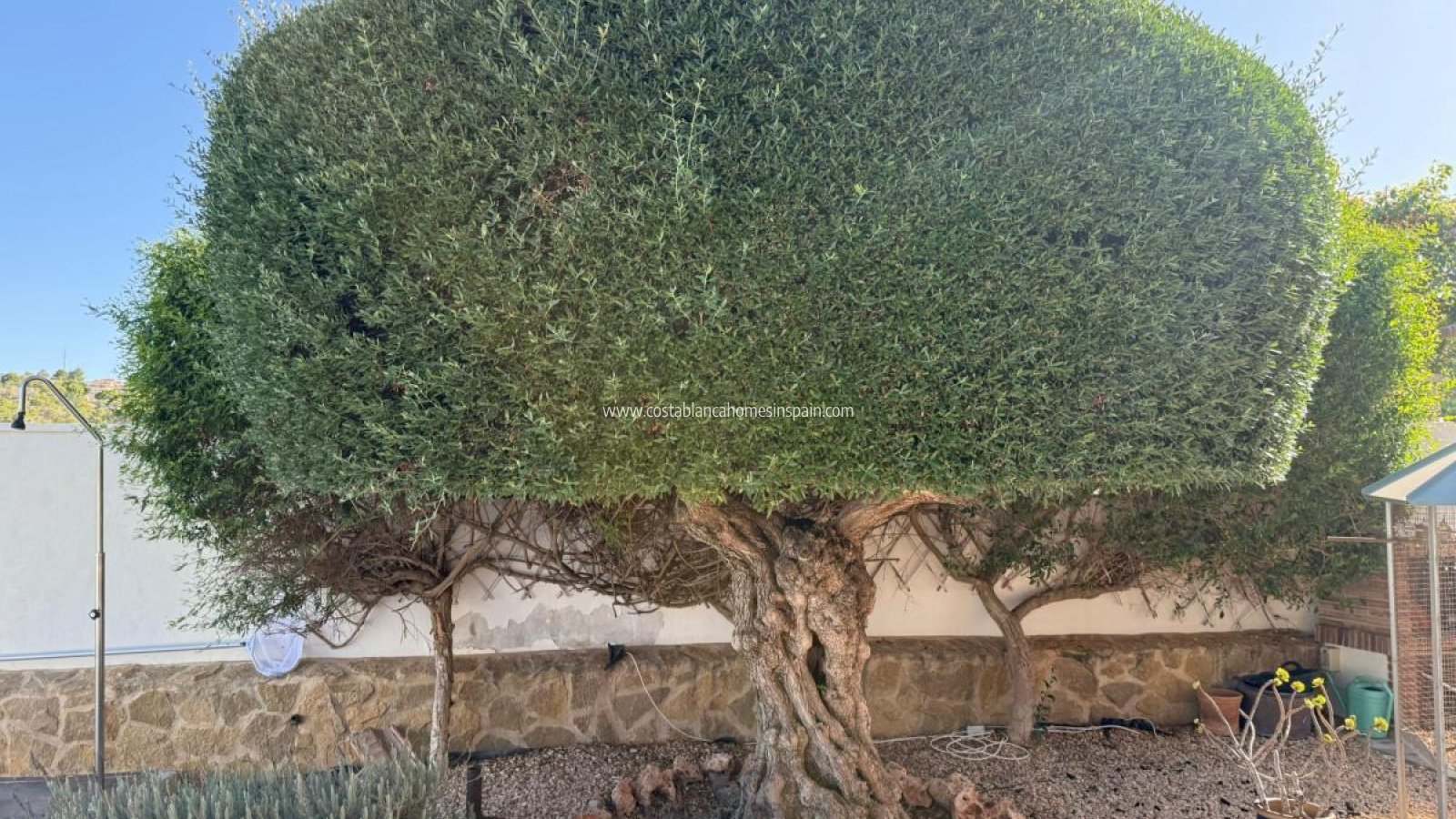 Venta - Detached Villa - San Miguel de Salinas