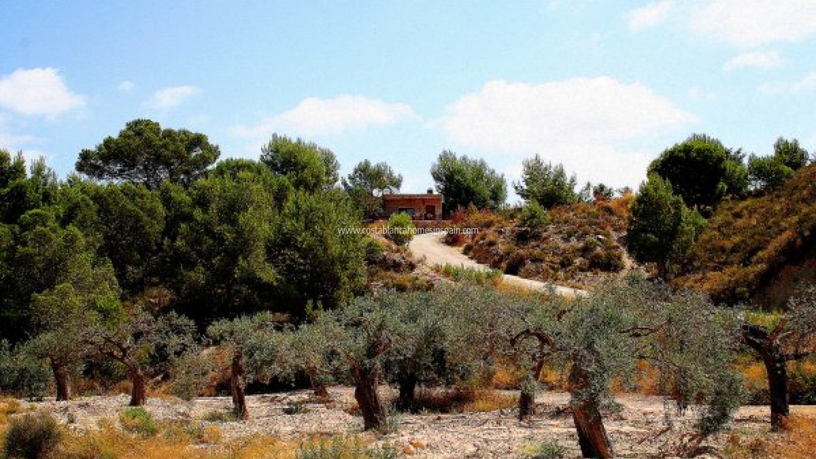 Venta - Finca - Gea y Truyols - Costa Calida